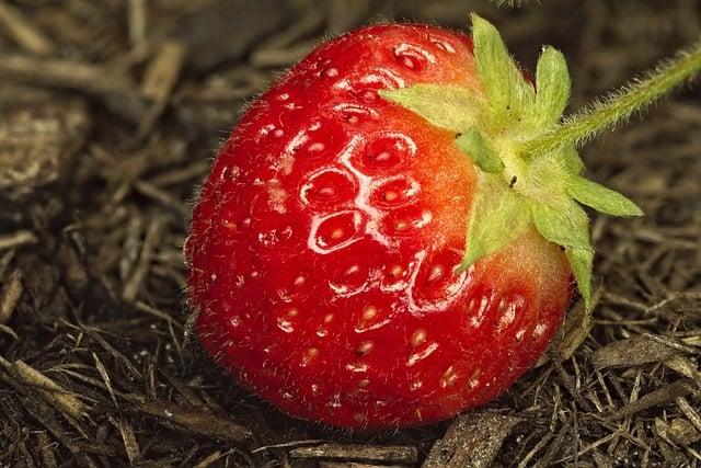維生素C與肌膚健康：科學基礎探討
